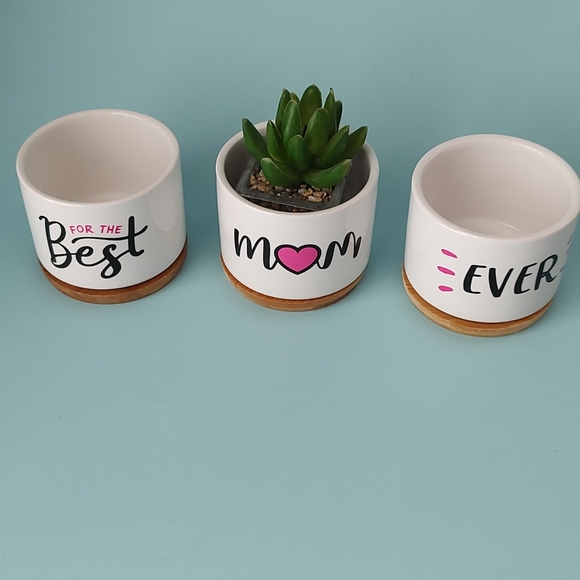 Ceramic Succulent Plant Pots Gift Mom 3.15 Inch Cactus Planter Flower new 3 pz - Picture 1 of 9